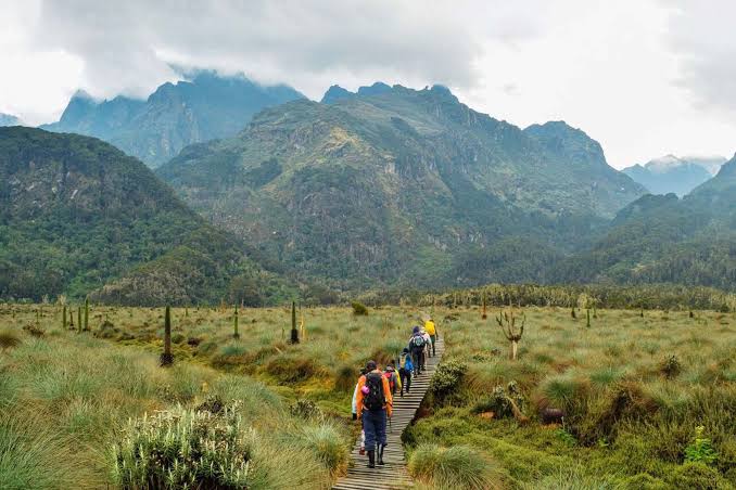 Rwenzori Mountain Adventure