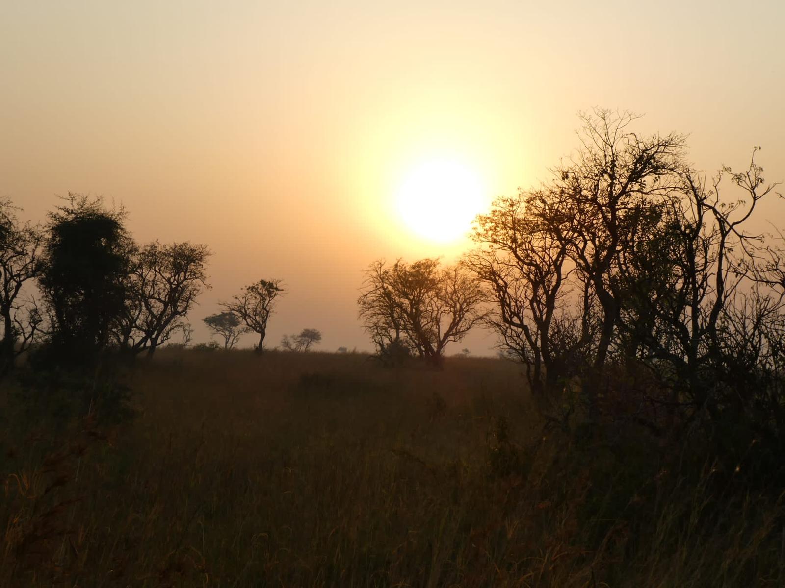 African Savanna Sunset